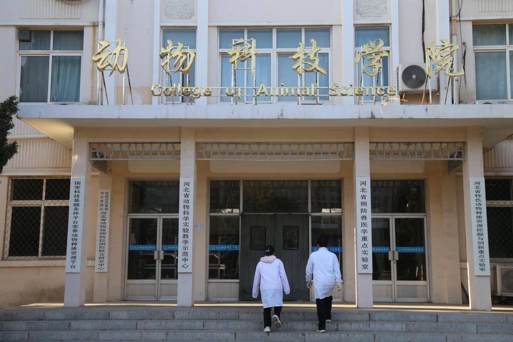 欢迎报考vsport官方网站